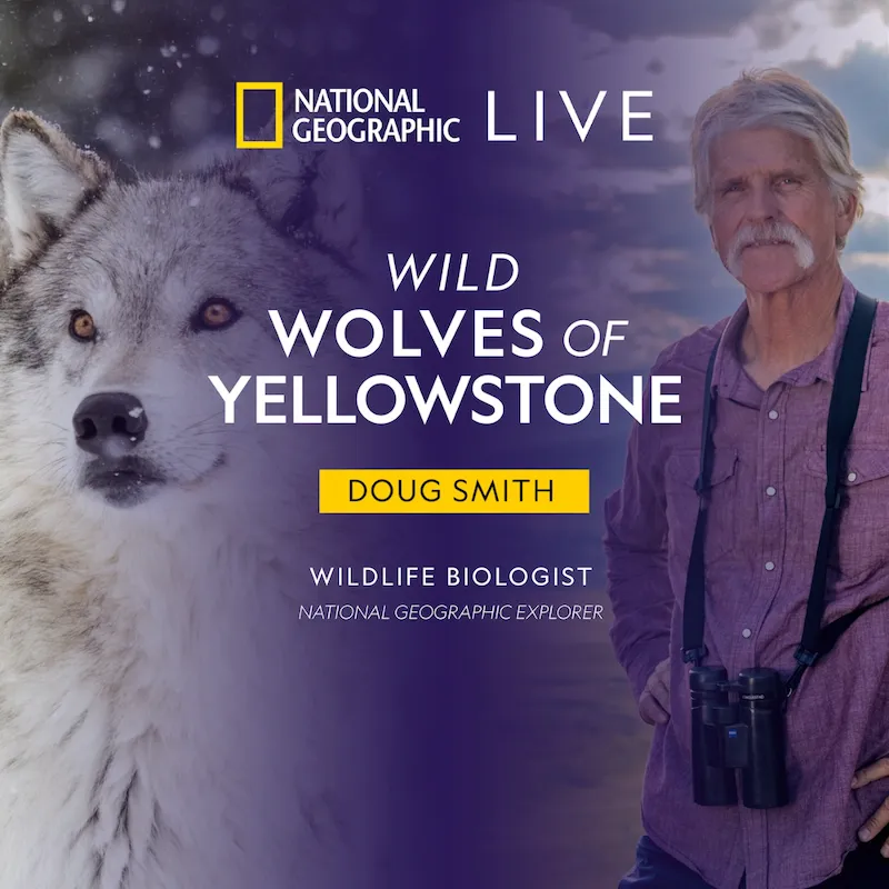 Doug Smith: Wild Wolves of Yellowstone