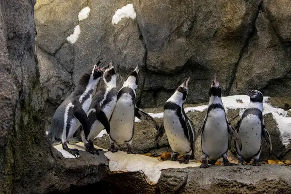 Calgary Zoo