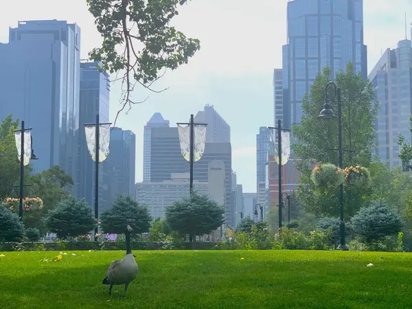 Prince’s Island Park